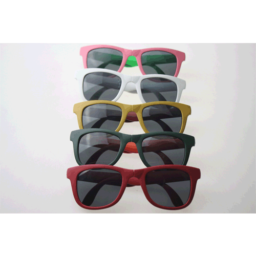 Customized Plastic Sunglasses
