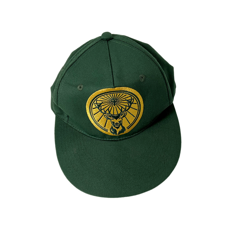 Custom 2D Embroidered Logo 5 Panel 100 Cotton Baseball Cap Hat