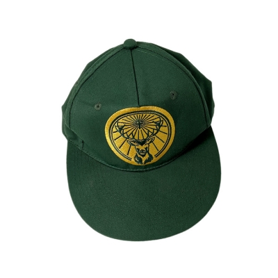 Custom 2D Embroidered Logo 5 Panel 100 Cotton Baseball Cap Hat